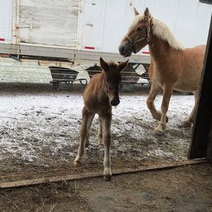Meet your Posher, Aaron